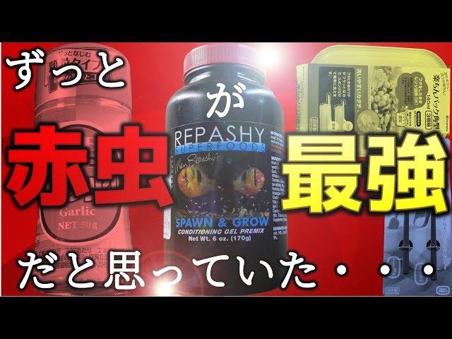 【餌】固めて作るゲルフード。コスパ良し。栄養良し。水も汚さない。嗜好性抜群！/レパシー スポーン&グロー【ふぶきテトラ】