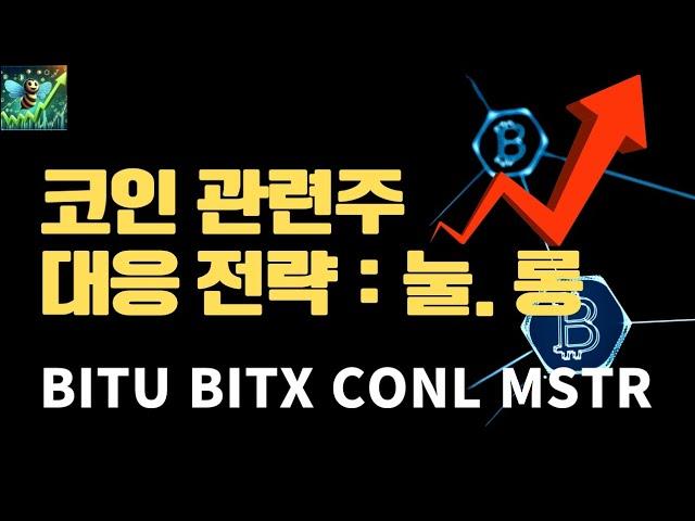 CONL, MSTR 대응은 쉽습니다! / 미국주식 차트분석 코인베이스 코닐 CONL BITU BITX ETHU MSTR MSTU 코인 관련주