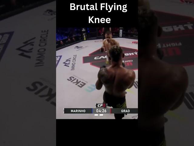 FLYING KNEE KO!! In MMA-  #mma #combatsport #brutal