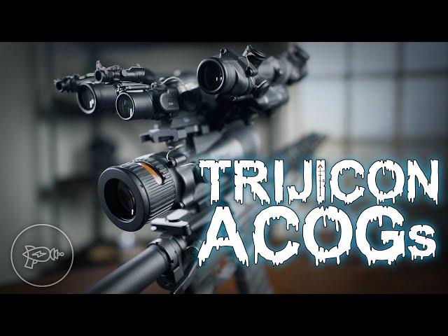 A Tale of 4 ACOGs: Trijicon Optics That AREN'T the TA31 [Review]