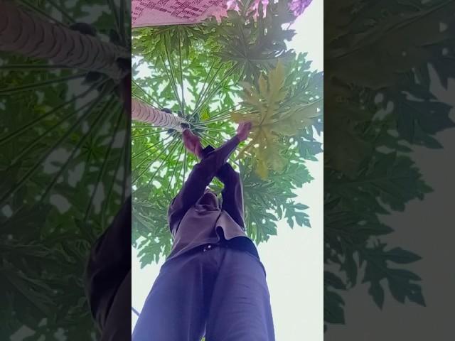 He Needs Injection to Sleep  | #momson​ #funny​ #viral​ #shorts​ #aayushabhay​ #asquarecrew​
