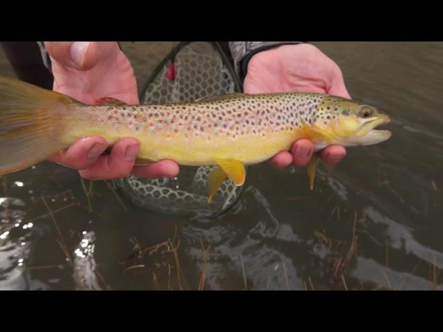 Fly Fishing the Dolores River in Southwest Colorado