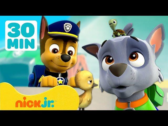 PAW Patrol | Tiere im Wachturm! | 30 Minuten | Nick Jr. Deutschland