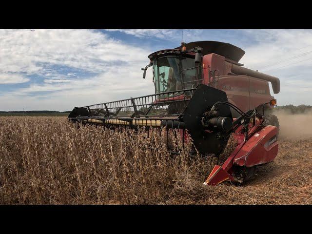 Chasing a Soybean Yield Record