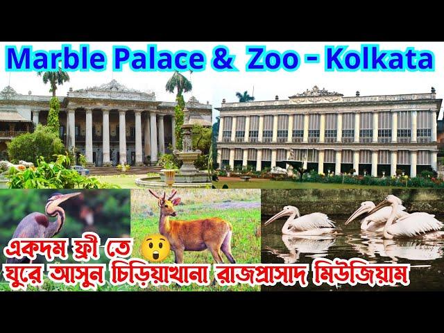 মার্বেল প্যালেস  Marble Palace With Museum & Zoo  Free Entry  Truly Beautiful Place in Kolkata