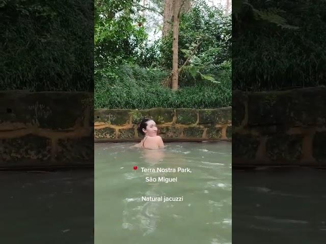 Natural Jacuzzi in Terra Nostra Park  -São Miguel, Azores