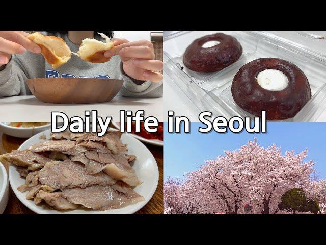VLOGㅣ후회 없는 벚꽃 스팟ㅣ빵 없이 사는 거 어떻게 하는 건데..ㅣGS25 품절대란 빌로우 까눌레 후기ㅣ보쌈 짱짱맛집 알랴드림ㅣ등산하고 재택하는 일상