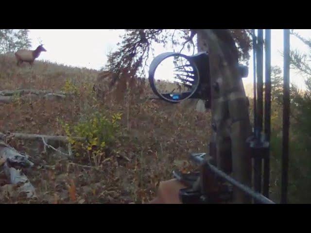 Self-Filmed Archery Elk Hunt