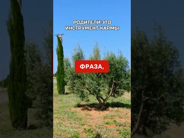 РОДИТЕЛИ ИНСТРУМЕНТ КАРМЫ