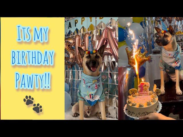 Happy 1st Birthday, Shane! It’s PAWty time  #happybirthday #happybirthdaysong #birthday