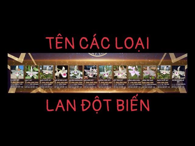 Tên Các Loại Hoa Lan Đột Biến •p1