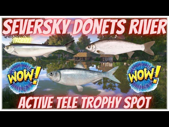 Russian Fishing 4 Active Tele Spot For Beginners