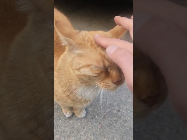 아저씨가 힘낼 수 있는 이유..