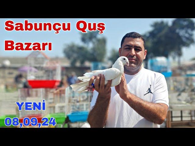 Sabunçu Quş Bazarı 8 Sentyabr 2024