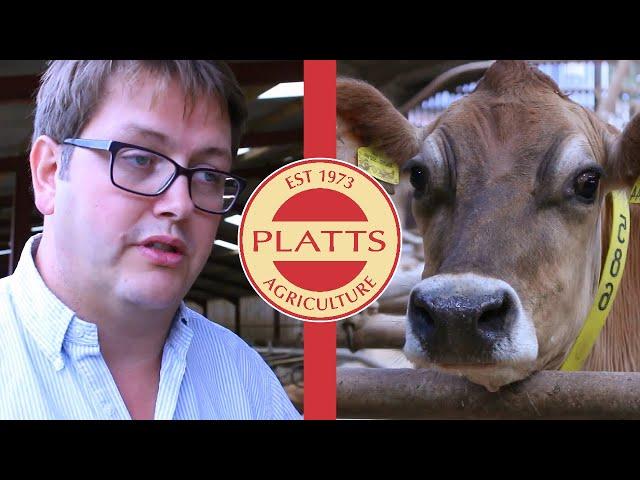 Platts Agriculture Limited-  Powder Bed