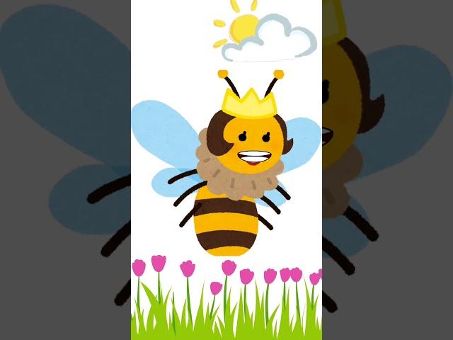 #bee #cartoon #honey #play