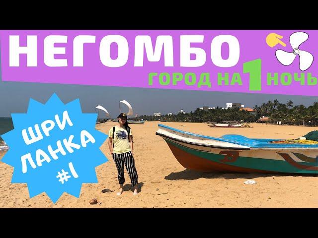 Шри-Ланка. Негомбо. Город на 1 ночь. Что посмотреть в Негомбо?