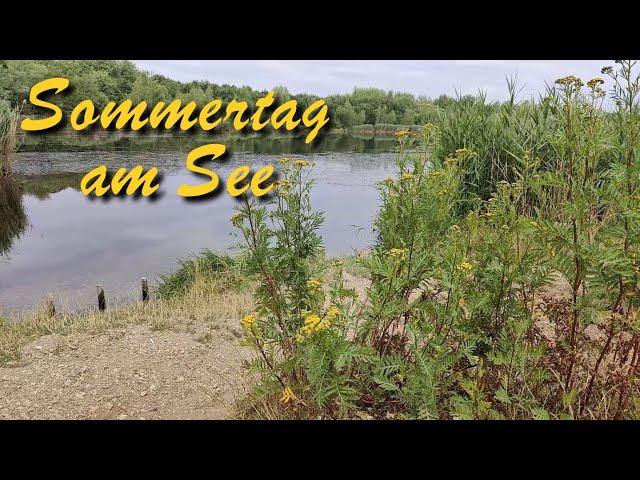 Sommertag am See, Wasser und Ufer. Entspannung mit beruhigender Musik.