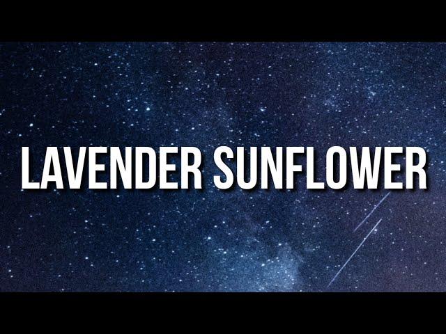 Tory Lanez - Lavender Sunflower (Lyrics)