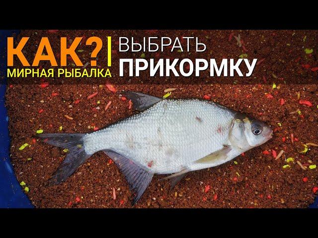 Как выбрать прикормку?