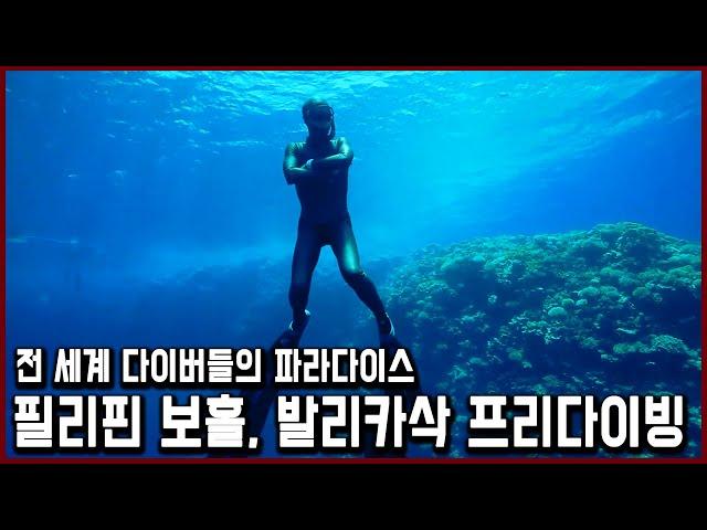 한 번의 호흡으로 바다 70m 아래로 간다! 프리 다이빙 한국 최고 기록 보유자와 필리핀 보홀, 발리카삭 바다 속으로 (KBS_2013.08.06 방송)