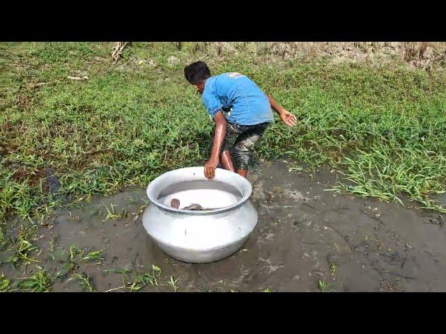 Big Hand Fishing. Little Boy Catch Big Catfish  By Hand . Best Hand Fishing