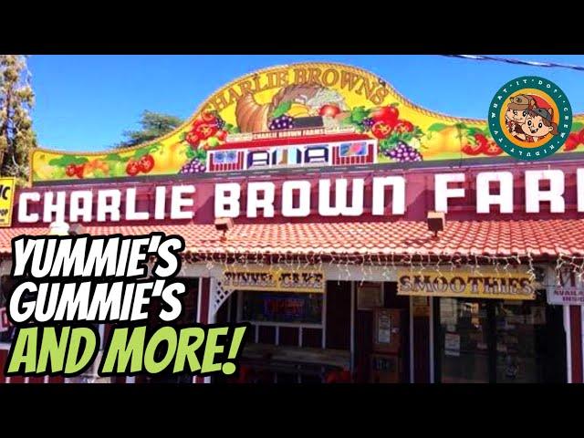 Charlie Brown Farms / A Hidden Tourist Gem in The High Desert