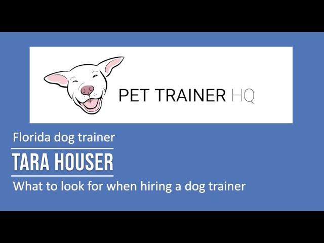 What to look for when hiring a dog trainer - Tara Houser Pet Trainer HQ