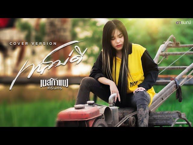 เทสบ่ดี - เนสกาแฟ ศรีนคร 【COVER VERSION】