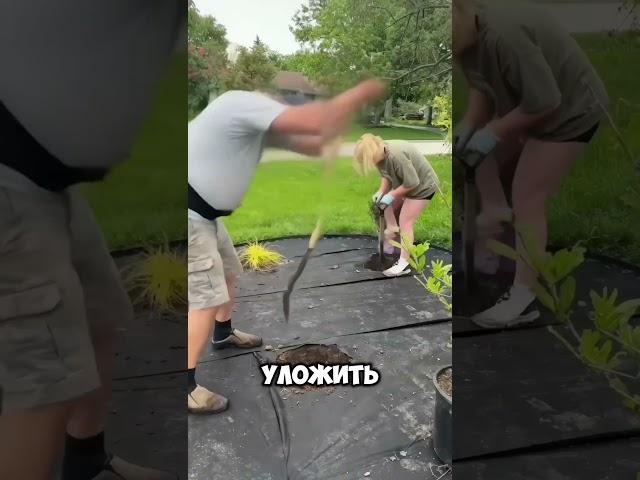 Клумба своими руками