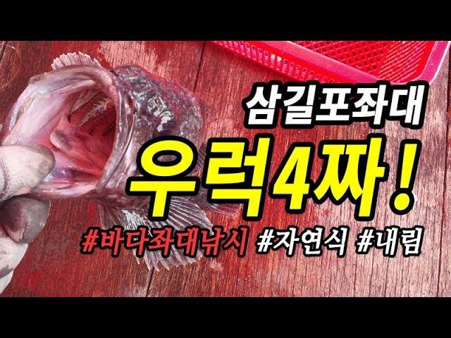 바다좌대자연식 삼길포좌대낚시 우럭4짜 영상