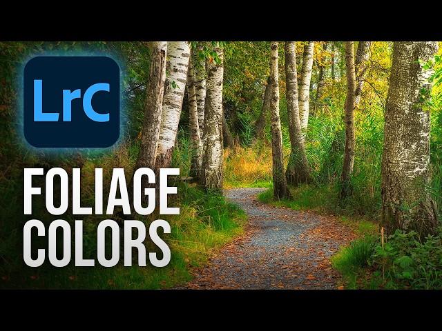 Improve FOLIAGE COLORS doing THIS! (Lightroom Classic Tutorial)