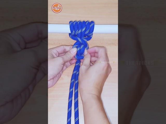 How to tie Knots Rope, DIY Knot Tutorial #diy #viral #shorts ep2800