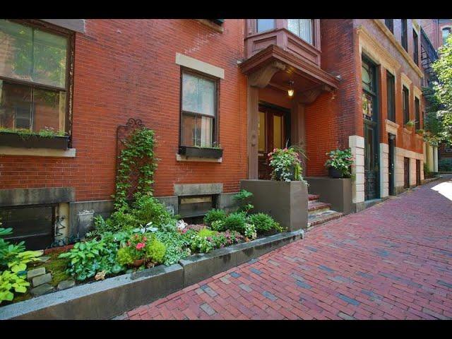 Beacon Hill   Hancock St Sunny Upper Level 1 Bed   Pet Friendly!