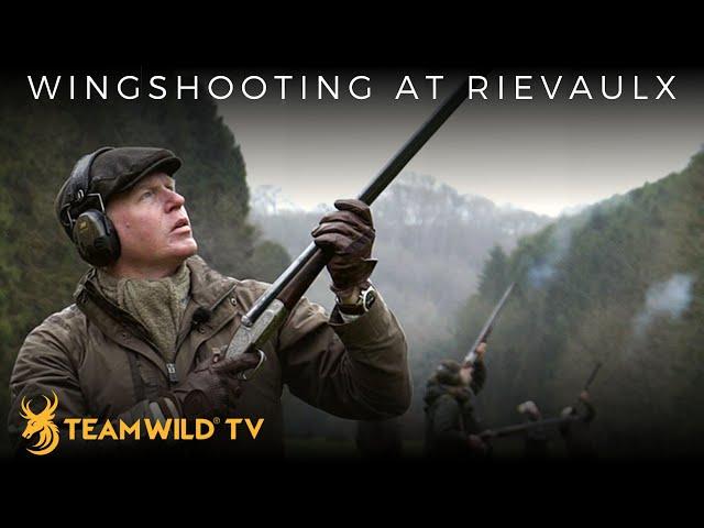 Shooting High Pheasant and Partridge at Rievaulx Sporting