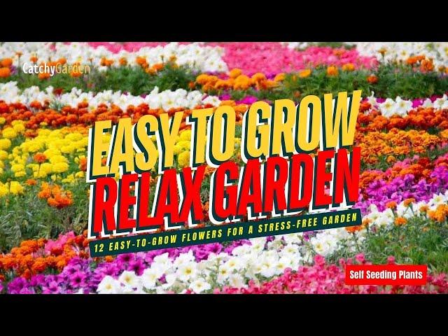 TOP 12 EASY-TO-GROW FLOWERS FOR A STRESS-FREE GARDEN  // SELF SEEDING FLOWERS