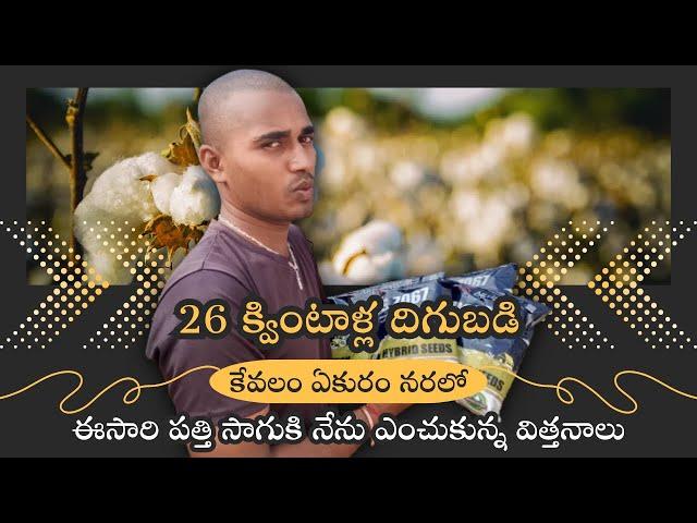 పోయిన సంవత్సరం పత్తి దిగుబడిలో నేనే టాపు || నేను ఎంచుకున్న విత్తనాలు? TFS Sagubadi #suryabhaskar