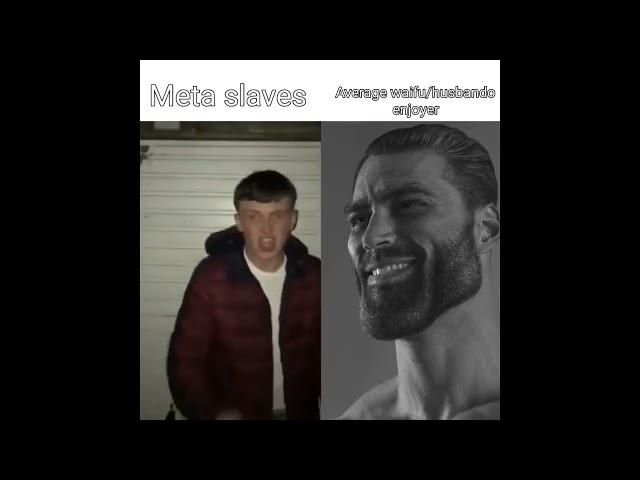 Meta slave vs average waifu/husbando enjoyer| Genshin Impact