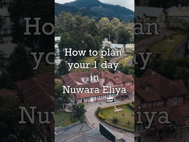 How to plan your 1 day in Nuwara Eliya #srilankaseries #srilankatravel #travel #6 #nuwaraeliya