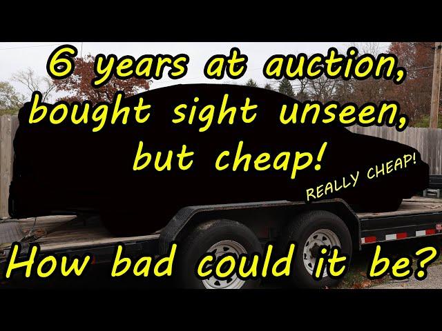 I waited 6 years to buy this auction car and scored it cheap! Why?  How bad can it be?