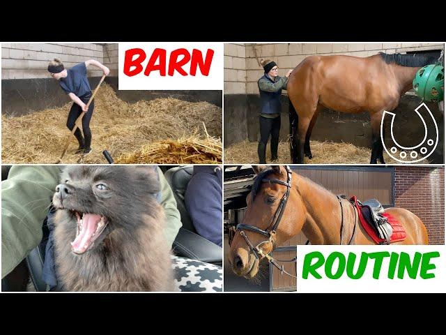 DAY IN THE LIFE / MORNING BARN VLOG - Feed, Clean, Ride!
