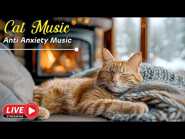 Soothing Cat Music - Gentle Tunes for a Relaxed Kitty - Sleep with your cat's favorite music 