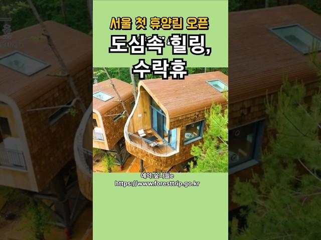 서울 최초 자연휴양림 ‘수락휴’ 오픈! 도심 속 힐링 명소