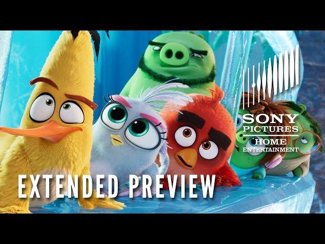 The Angry Birds Movie 2: Extended Preview