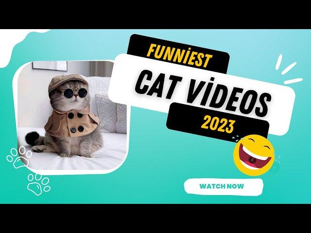 "Infinite Cuteness: Watch the World's Cutest Cats in This Video! #catsfunnyvideos #catscomics