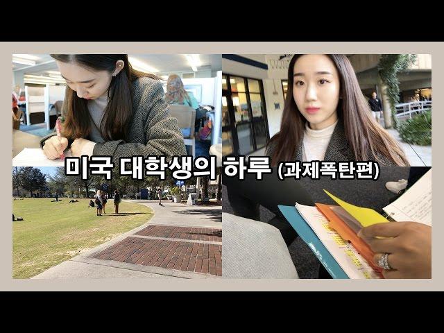 미국 대학생의 하루 - 과제폭탄편 / (eng) one day vlog of college student