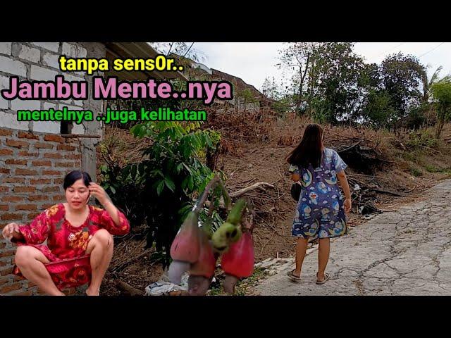 Jambu Mente Kampung Gunung Pengantin Tikar pandan & tradisi Dandan necis di Sawah hutan para Wanita.