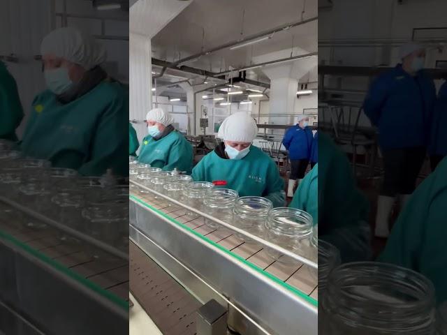 Шпроти - це що? Копчена кілька стерилізована. Українці навчилися виготовляти не гірше за балтійців