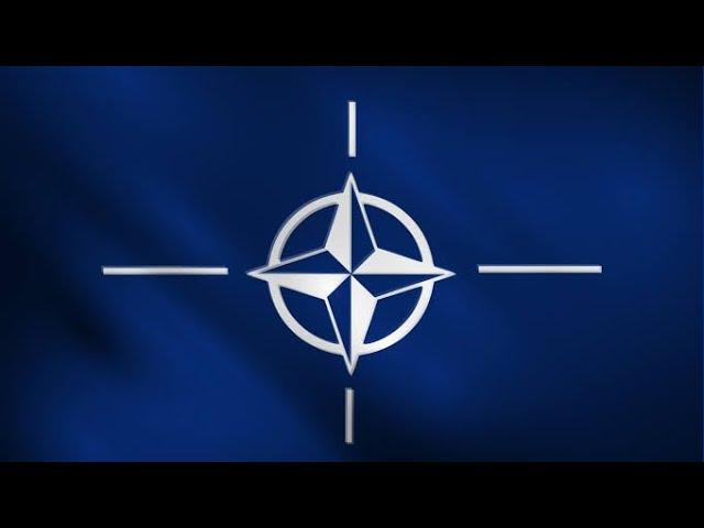 NATO gang #2