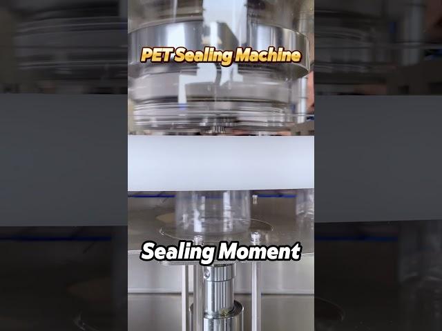 can sealing machine#cansealingmachine#cansealer#levapack#tincansealer#tincansealingmachine#maquina